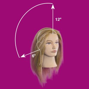 Hair Measurements Pivot Point Mannequins