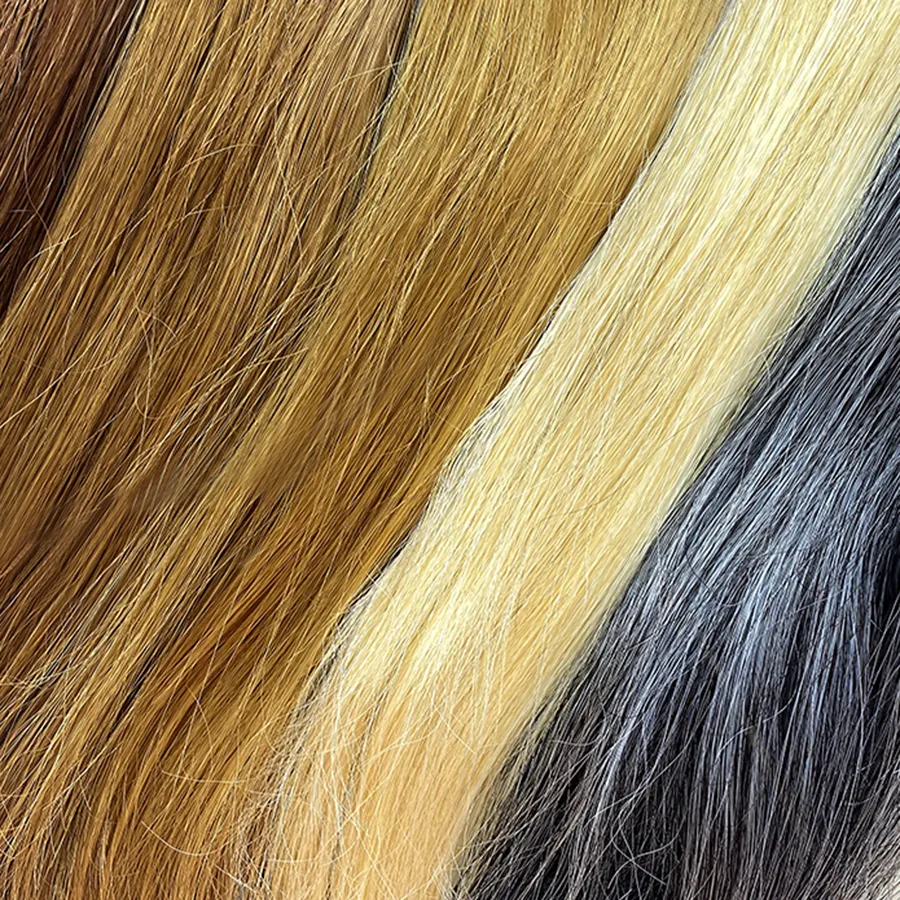 Pivot Point Mannequin Hair Color