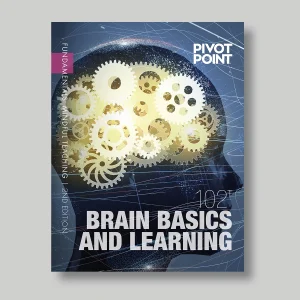 Fundamentals: Mindful Teacher 102 Brain Basics and Learning