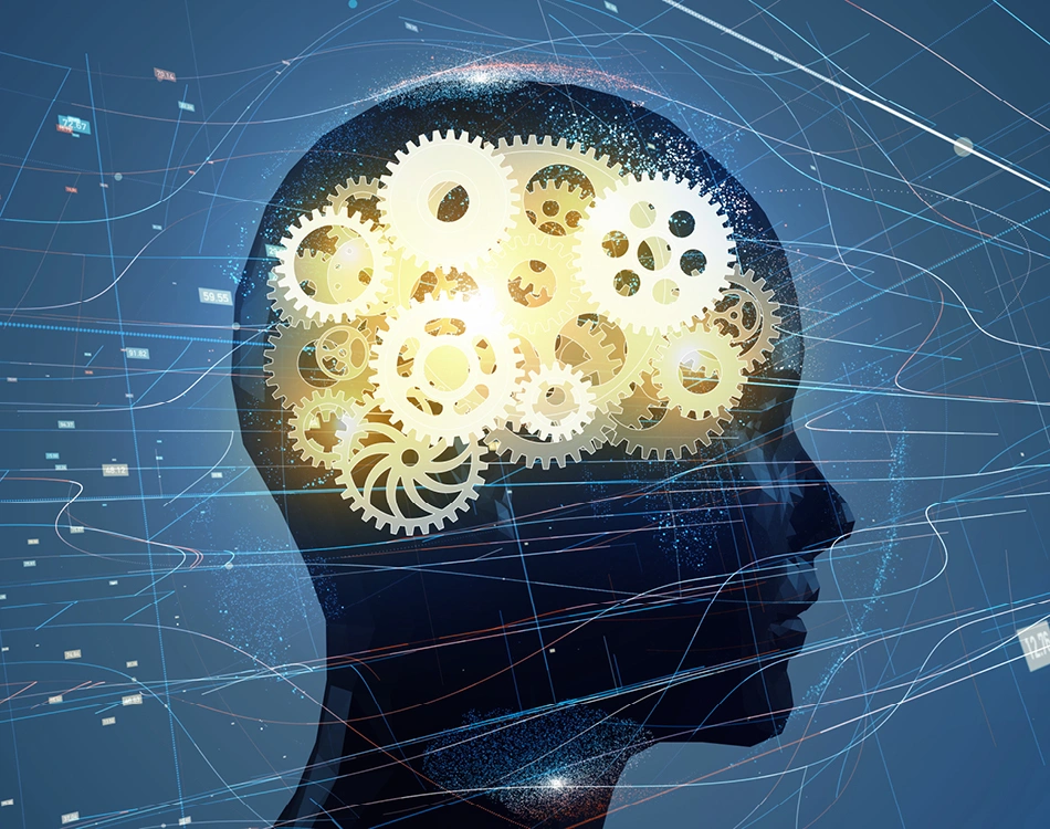 Brain-Compatible Learning