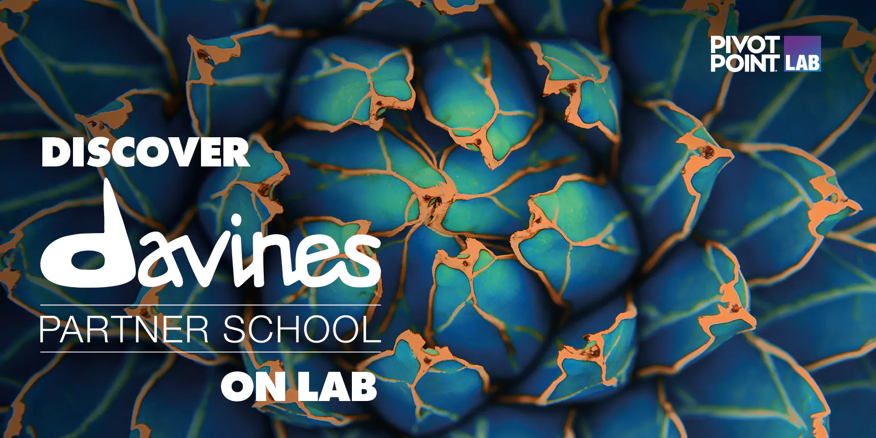 Discover Davines Partner School on LAB