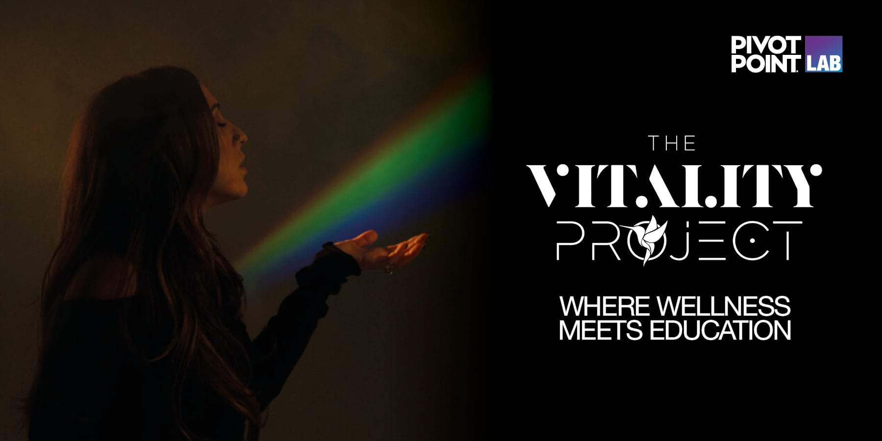 Vitality Project Partner Spotlight